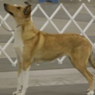 crofootski